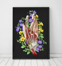 Art d'anatomie de la main - Noir-Codex Anatomicus New
