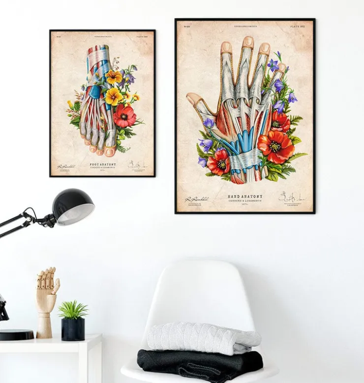 Art d'anatomie de la main - Noir-Codex Anatomicus