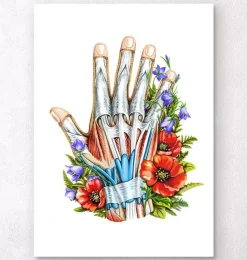 Art d'anatomie de la main - Noir-Codex Anatomicus Online