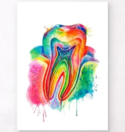 Art d'anatomie dentaire - Aquarelle-Codex Anatomicus
