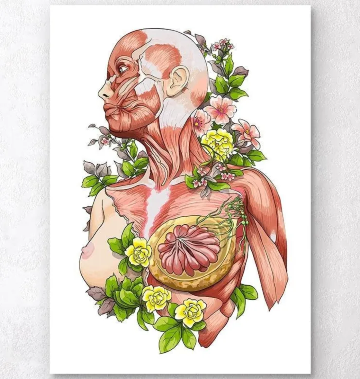Art d'anatomie du corps féminin - Blanc-Codex Anatomicus Discount