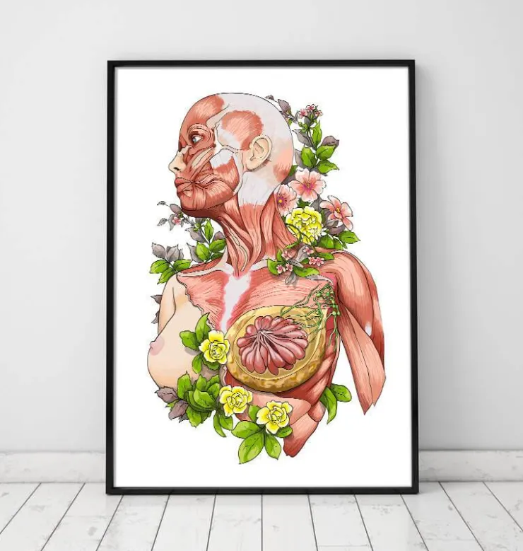Art d'anatomie du corps féminin - Blanc-Codex Anatomicus Discount