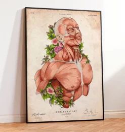 Art d'anatomie du corps masculin-Codex Anatomicus Hot