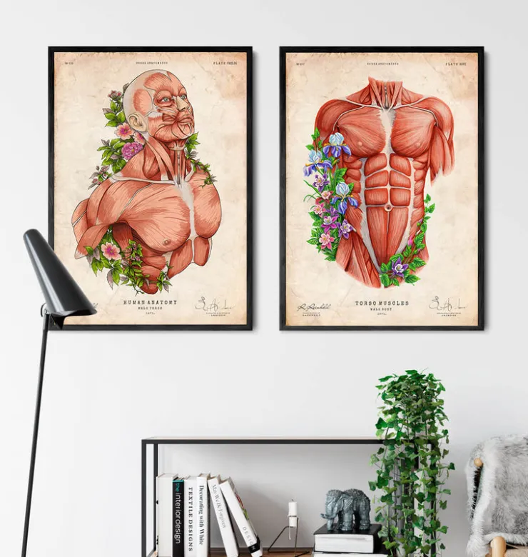 Art d'anatomie du corps masculin-Codex Anatomicus Hot