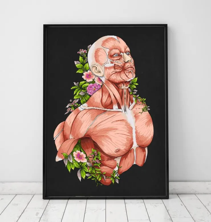 Art d'anatomie du corps masculin - Noir-Codex Anatomicus Outlet