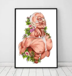 Art d'anatomie du corps masculin - Blanc-Codex Anatomicus Online