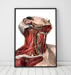 Art d'anatomie du cou géométrique-Codex Anatomicus