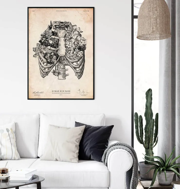 Art de la cage thoracique-Codex Anatomicus