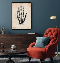 Art de l'anatomie de la main humaine-Codex Anatomicus Online