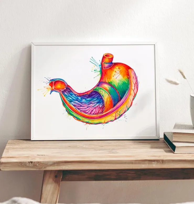 Art de l'anatomie de l'estomac - Aquarelle-Codex Anatomicus Hot