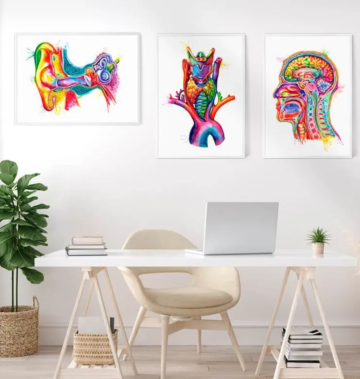 Art de l'anatomie de l'oreille - Aquarelle-Codex Anatomicus Hot