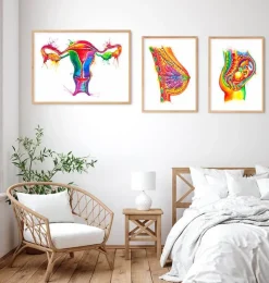 Art de l'anatomie de l'utérus - Aquarelle-Codex Anatomicus Clearance