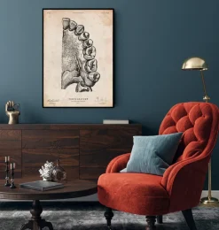 Art de l'anatomie dentaire-Codex Anatomicus
