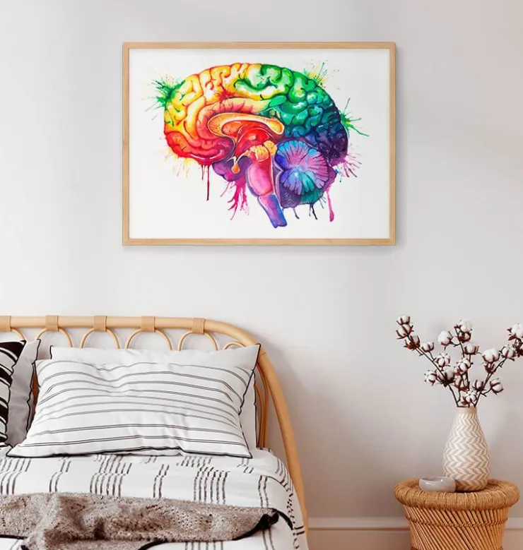 Art de l'anatomie du cerveau - Aquarelle-Codex Anatomicus Discount