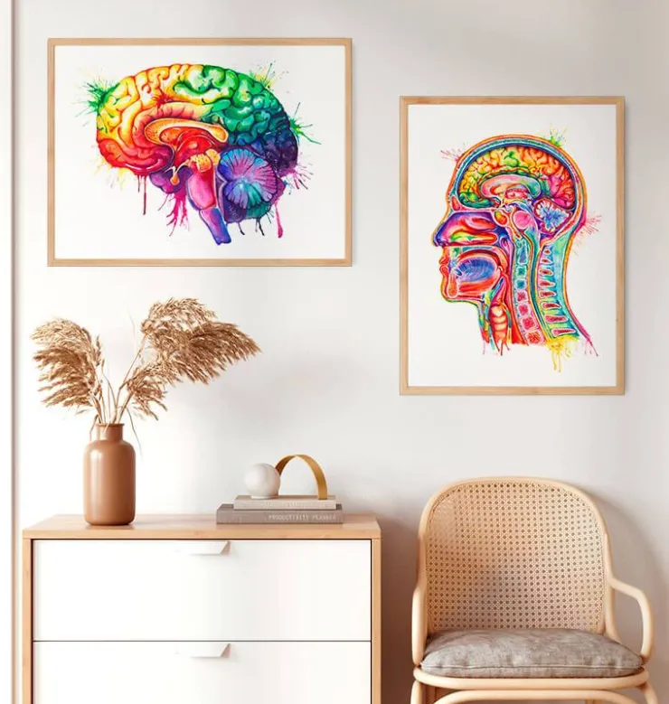 Art de l'anatomie du cerveau - Aquarelle-Codex Anatomicus Discount