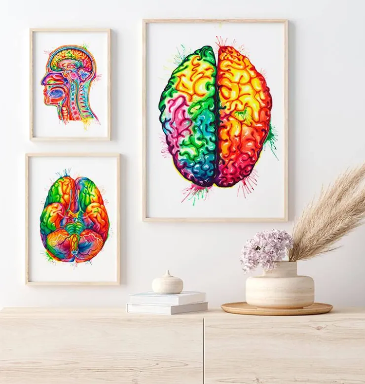 Art de l'anatomie du cerveau II - Aquarelle-Codex Anatomicus New