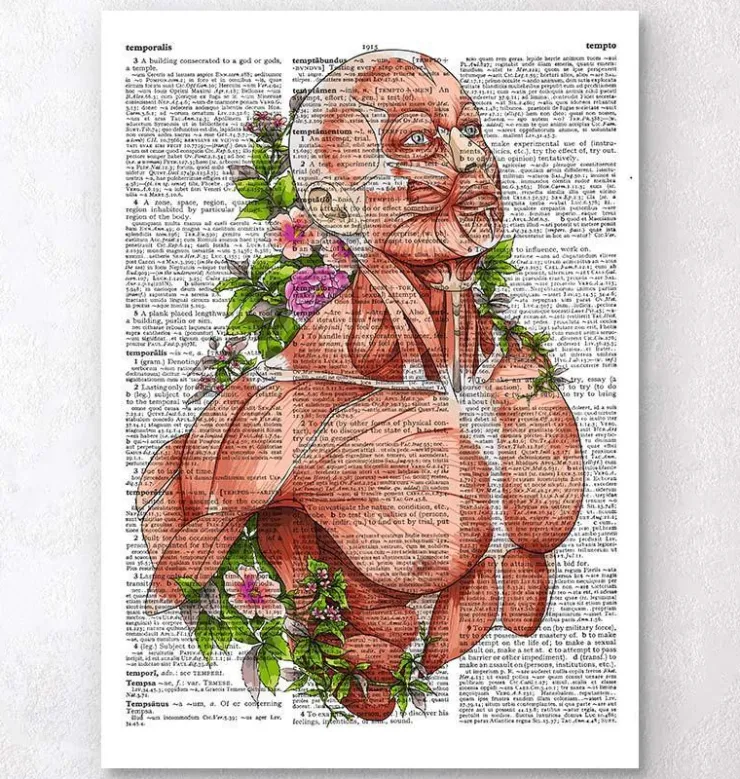 Art de l'anatomie du corps masculin - Page du dictionnaire-Codex Anatomicus Hot