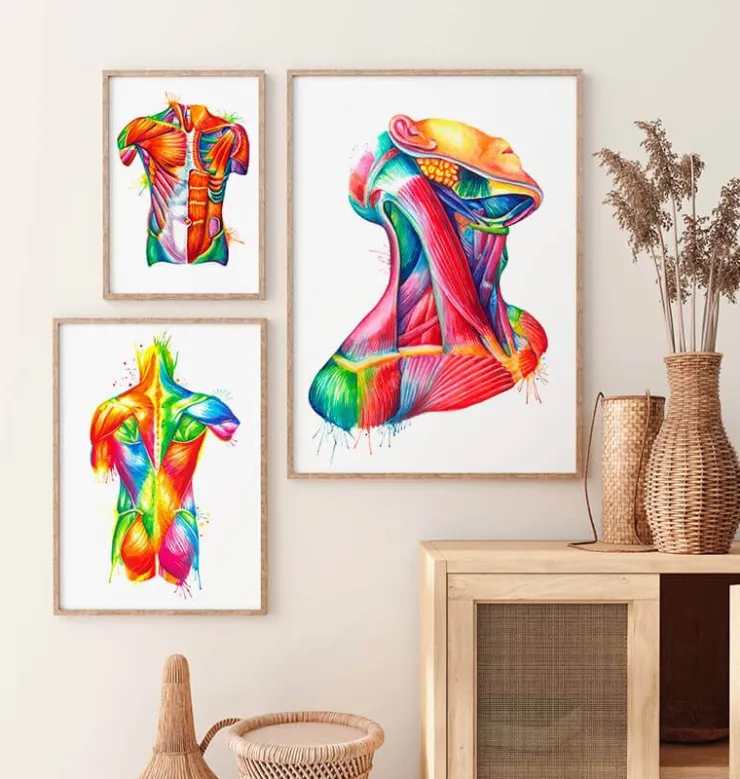 Art des muscles du cou - Aquarelle-Codex Anatomicus