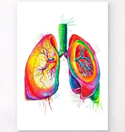 Art des poumons anatomiques - Aquarelle-Codex Anatomicus New