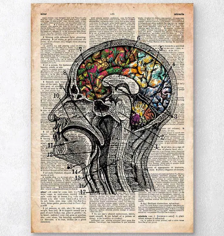 Art du cerveau floral - Ancien dictionnaire-Codex Anatomicus Hot