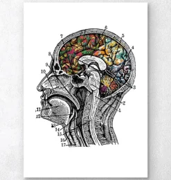 Art du cerveau floral - Blanc-Codex Anatomicus Discount