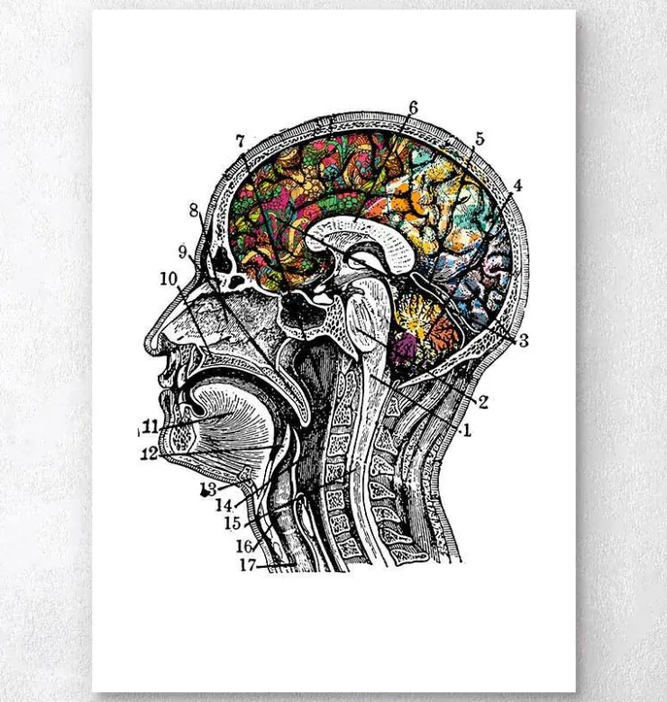 Art du cerveau floral - Blanc-Codex Anatomicus Discount