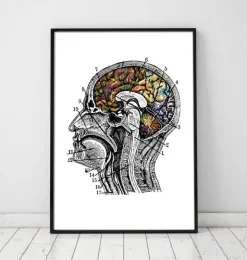 Art du cerveau floral - Blanc-Codex Anatomicus Discount
