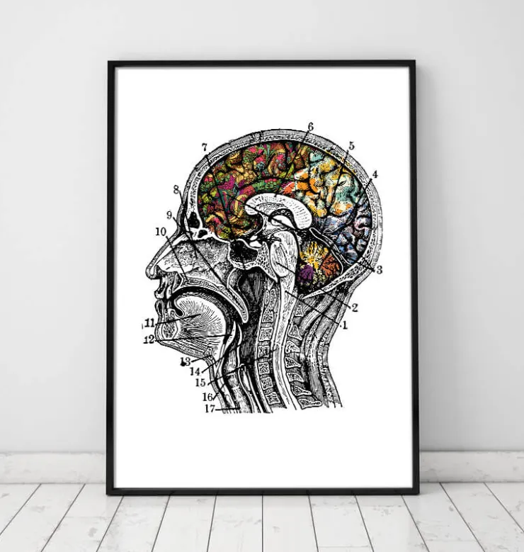 Art du cerveau floral - Blanc-Codex Anatomicus Discount