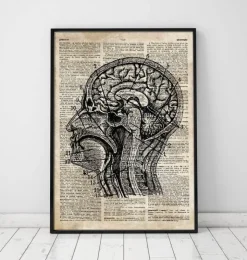 Art du cerveau I - Ancien dictionnaire-Codex Anatomicus Online