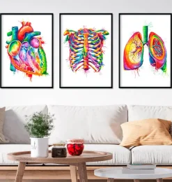 Bestsellers - Aquarelle - Lot de 3-Codex Anatomicus Sale
