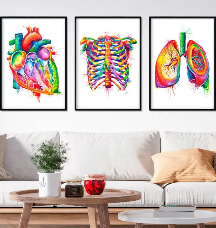 Bestsellers - Aquarelle - Lot de 3-Codex Anatomicus Sale