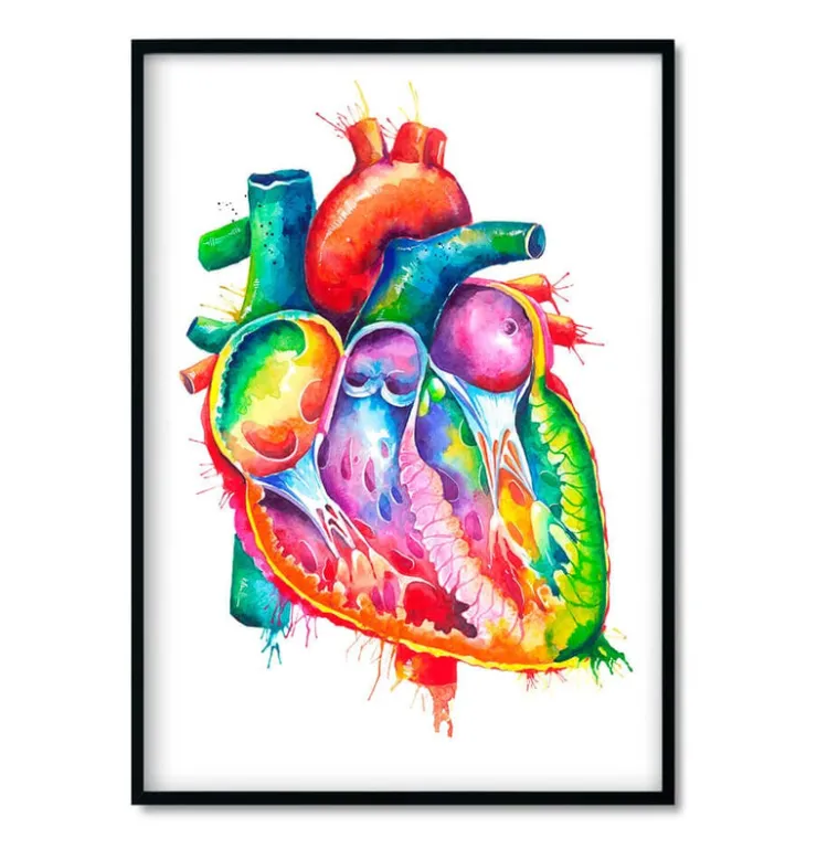 Bestsellers - Aquarelle - Lot de 3-Codex Anatomicus Sale