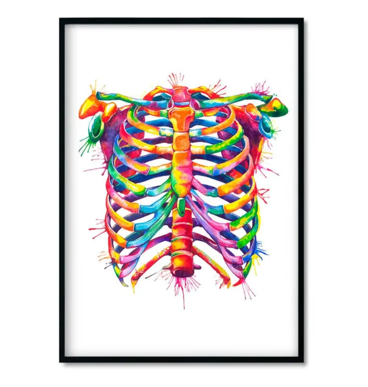 Bestsellers - Aquarelle - Lot de 3-Codex Anatomicus Sale