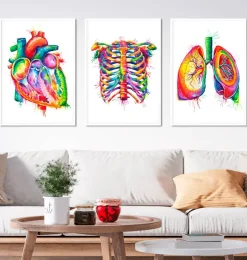 Bestsellers - Aquarelle - Lot de 3-Codex Anatomicus Sale