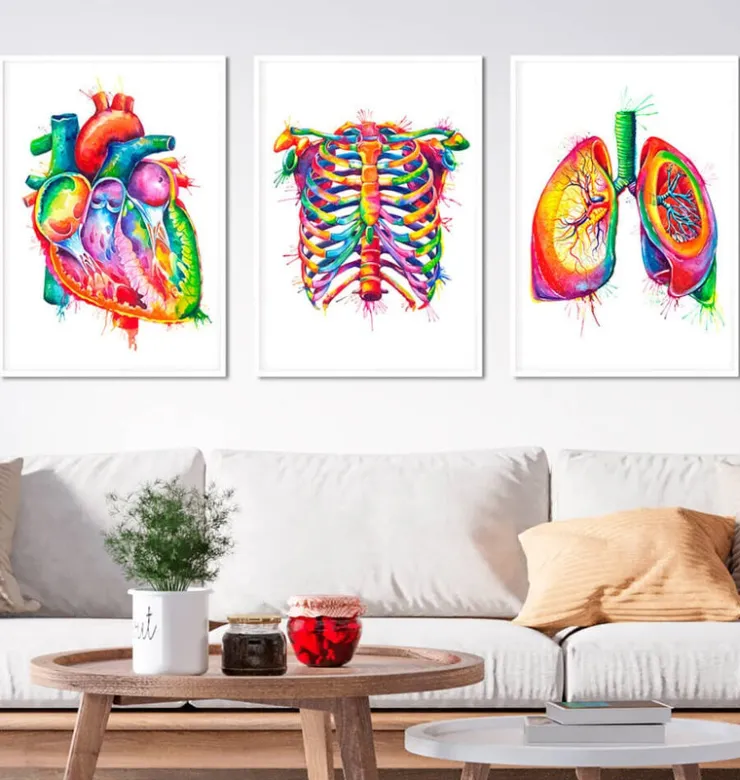 Bestsellers - Aquarelle - Lot de 3-Codex Anatomicus Sale