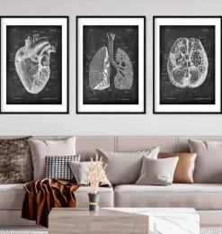 Bestsellers - Chalkboard - Lot de 3-Codex Anatomicus New