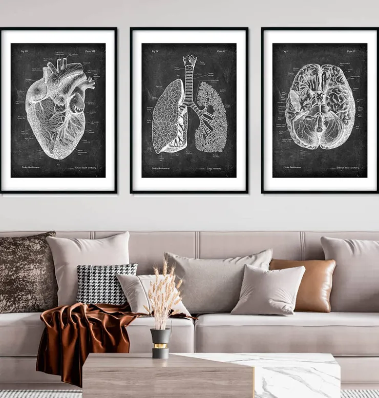 Bestsellers - Chalkboard - Lot de 3-Codex Anatomicus New