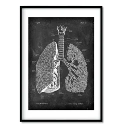 Bestsellers - Chalkboard - Lot de 3-Codex Anatomicus New