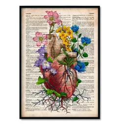 Bestsellers - Dictionnaire - Lot de 3-Codex Anatomicus Hot
