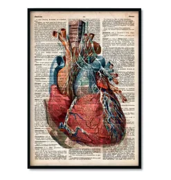Bestsellers - Dictionnaire - Lot de 3-Codex Anatomicus Hot
