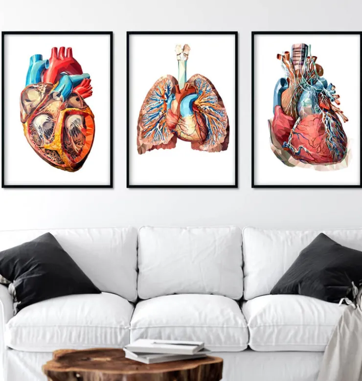 Bestsellers - Géométrique - Lot de 3-Codex Anatomicus Hot