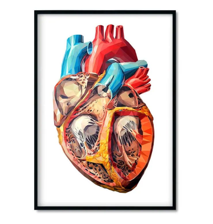 Bestsellers - Géométrique - Lot de 3-Codex Anatomicus Hot