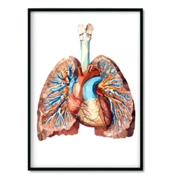 Bestsellers - Géométrique - Lot de 3-Codex Anatomicus Hot