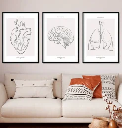 Bestsellers - Line Art - Lot de 3-Codex Anatomicus Outlet