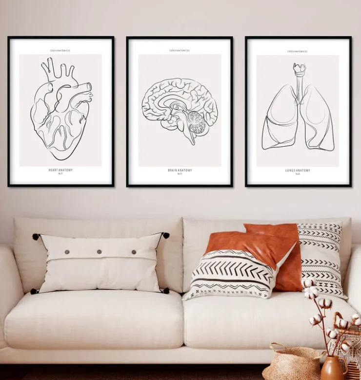Bestsellers - Line Art - Lot de 3-Codex Anatomicus Outlet