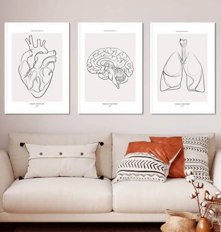 Bestsellers - Line Art - Lot de 3-Codex Anatomicus Outlet