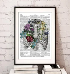 Cage thoracique - Page du dictionnaire-Codex Anatomicus