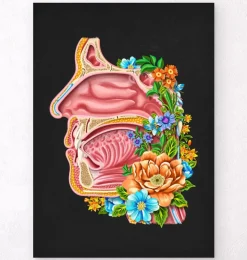 Cavité nasale - Floral - Noir-Codex Anatomicus New