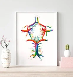 Cercle de Willis - Aquarelle-Codex Anatomicus