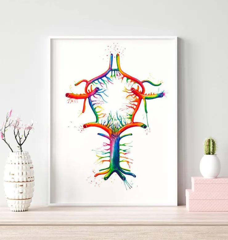 Cercle de Willis - Aquarelle-Codex Anatomicus